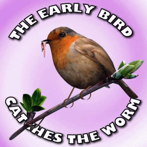the early bird catches the first worm