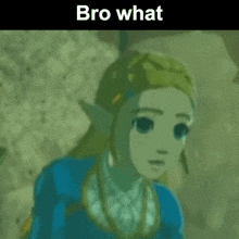 a picture of a cartoon character with the words bro what on the bottom