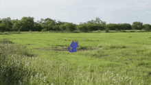 a cartoon cat is sitting in a grassy field