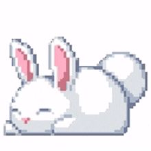 sleepy bunny lovely
