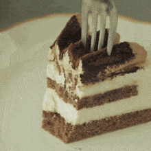 Tiramisu Cake Dessert GIF