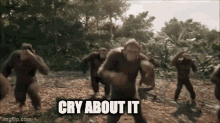 Cry About It Beef GIF - Cry About It Beef Imagine GIFs