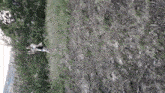 a blurred image of a person running down a dirt path