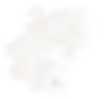 a white background with a few dots on it .