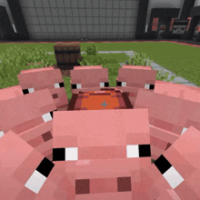 a bunch of pigs are standing around a table in a video game