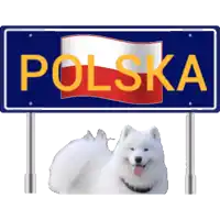 a sign that says polska with a white dog behind it