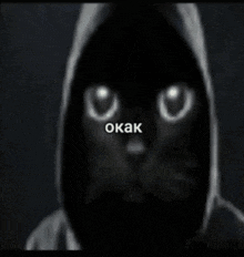a black cat wearing a hoodie with the word okak written on the bottom