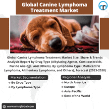 Canine Lymphoma Treatment Market GIF