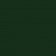 a daily reminder for hi noah wilson is displayed on a green background