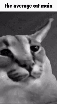 Cat at Door Giga Chad by Femm Sound Effect - Meme Button - Tuna