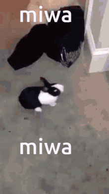 Miwa GIF