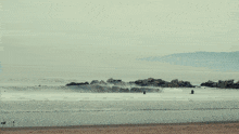 a man stands on a beach near a lifeguard tower that says ' lifeguard ' on it