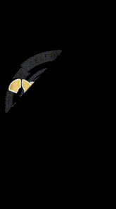 a computer generated image of a space shuttle with the words space shuttle on it