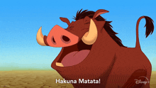 Hakuna Matata It Means No Worries Pumbaa GIF