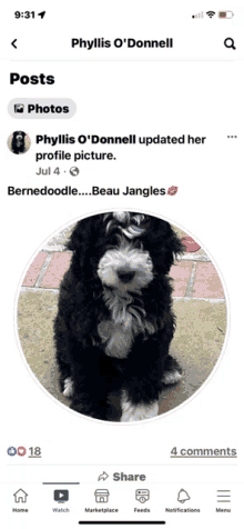 Dogs Puppy GIF - Dogs Puppy Love GIFs