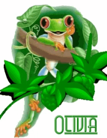 olivia olivia name name frog green