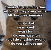 a cat says thanks for spending time with me today can you just fill this questionaire