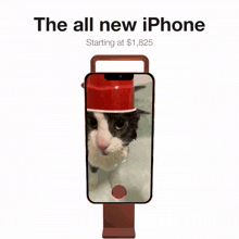 an advertisement for the all new iphone with a cat wearing a red hat