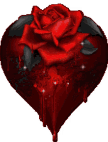 rose bleeding