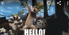 a picture of a lemur and a panda with the words hello on it