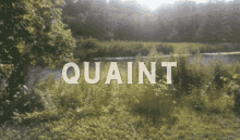 Quaint GIF - Quaint GIFs
