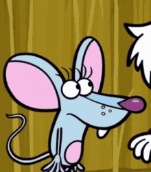 Nature Cat Squeeks GIF - Nature Cat Squeeks Stomach GIFs