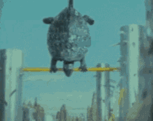 Turtle Work Out GIF