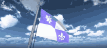 a blue and white flag with a fleur de lis on it is flying in the wind