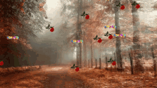 Forest Falling Flowers GIF
