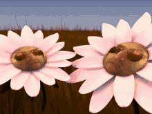 two flowers with faces on them are standing next to each other