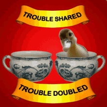 Trouble Shared Trouble Doubled GIF - Trouble Shared Trouble Doubled Ducks GIFs