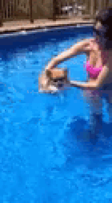 Swimming Pom GIF - Swimming Pom GIFs