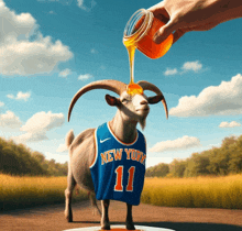 Goat Honey GIF