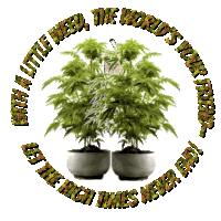 a picture of two potted marijuana plants with the words " the world 's your friend " around them