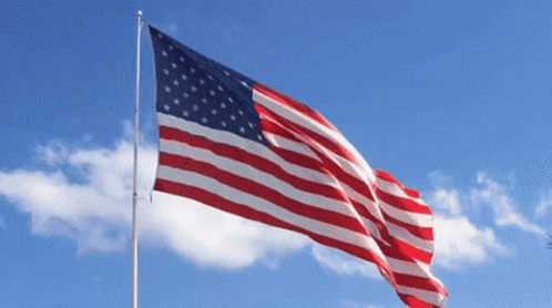 American Flag Usa GIF - American Flag Usa Usa Flag GIFs