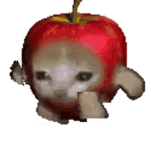 apple cat