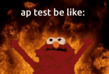 Ap Test GIF