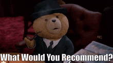 Ted Tv Show What Would You Recommend GIF