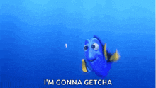 dory from the movie finding nemo is swimming in the ocean and saying i 'm gonna getcha .