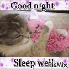 Good Night GIF - Good Night Sleep Well GIFs