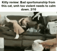 Cat Review Kitty Review GIF - Cat Review Kitty Review GIFs