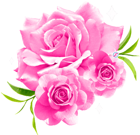 Rose Moira Sticker - Rose Moira Stickers