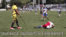 Average Quidditch GIF - Average Quidditch Average Quidditch GIFs