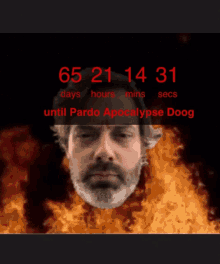 Countdown Pardo Apocalypse Doog GIF - Countdown Pardo Apocalypse Doog Burning GIFs