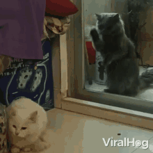 Let Me In Viralhog GIF - Let Me In Viralhog Open The Door GIFs