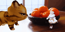 a cat and a girl are standing next to a bowl of oranges on a table