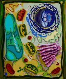 Plant Cells Plant Cell GIF - Plant Cells Plant Cell Cell GIFs