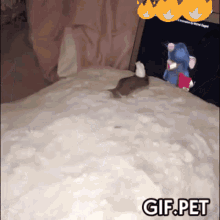 Gif Pet Rat GIF - Gif Pet Rat Eat GIFs