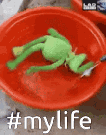 My Life As Kermit Spin GIF - My Life As Kermit Spin Water GIFs
