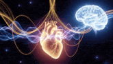 a glowing heart and a glowing brain surrounded by waves